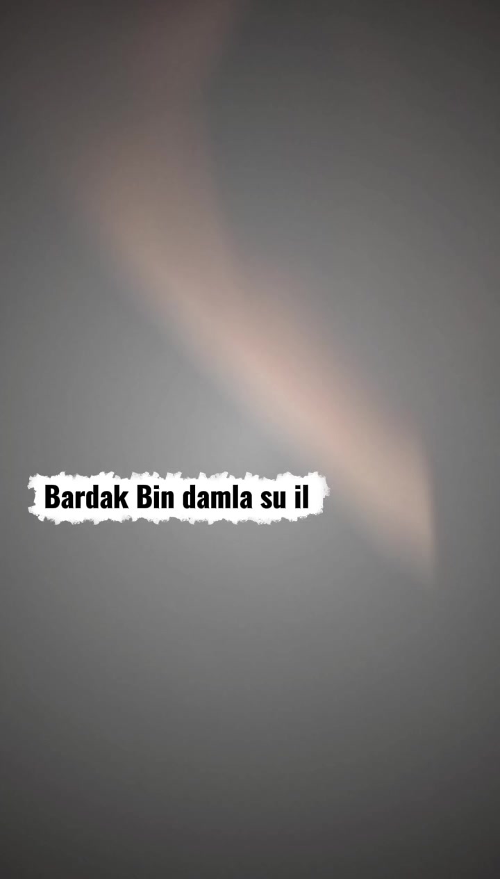 @Dilek Seray