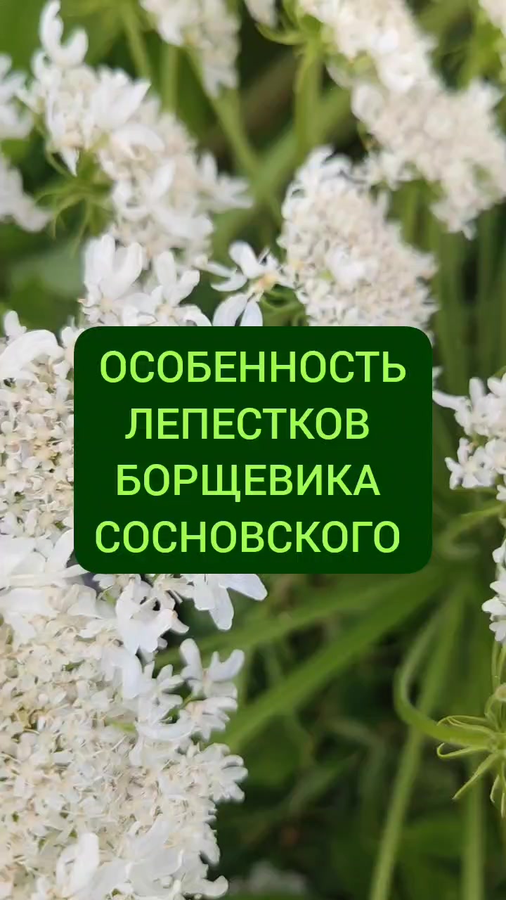 @Мария Попова