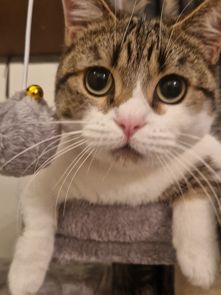 @Alicia