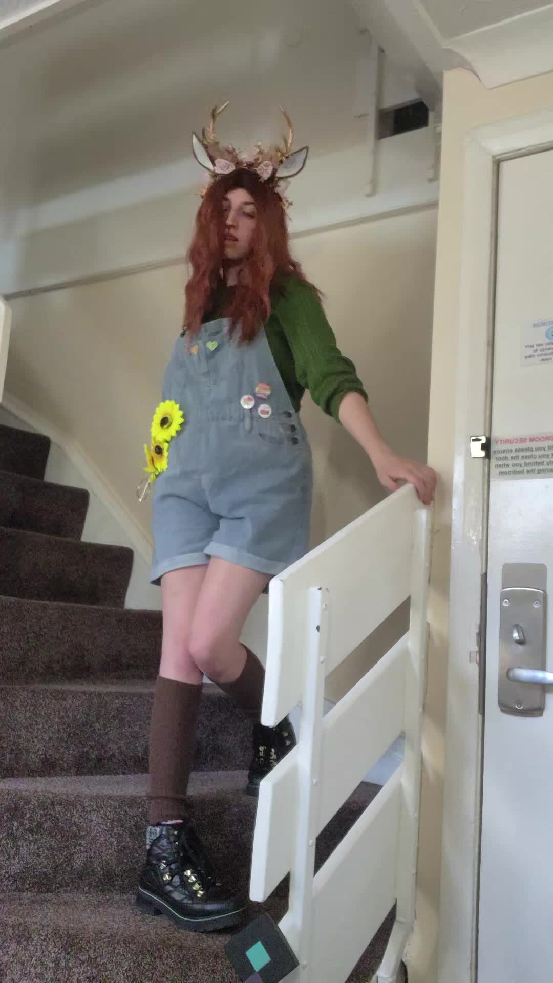 @🍪⦻🚦 𝙰𝚓𝚊𝚡🚦⦻🍪