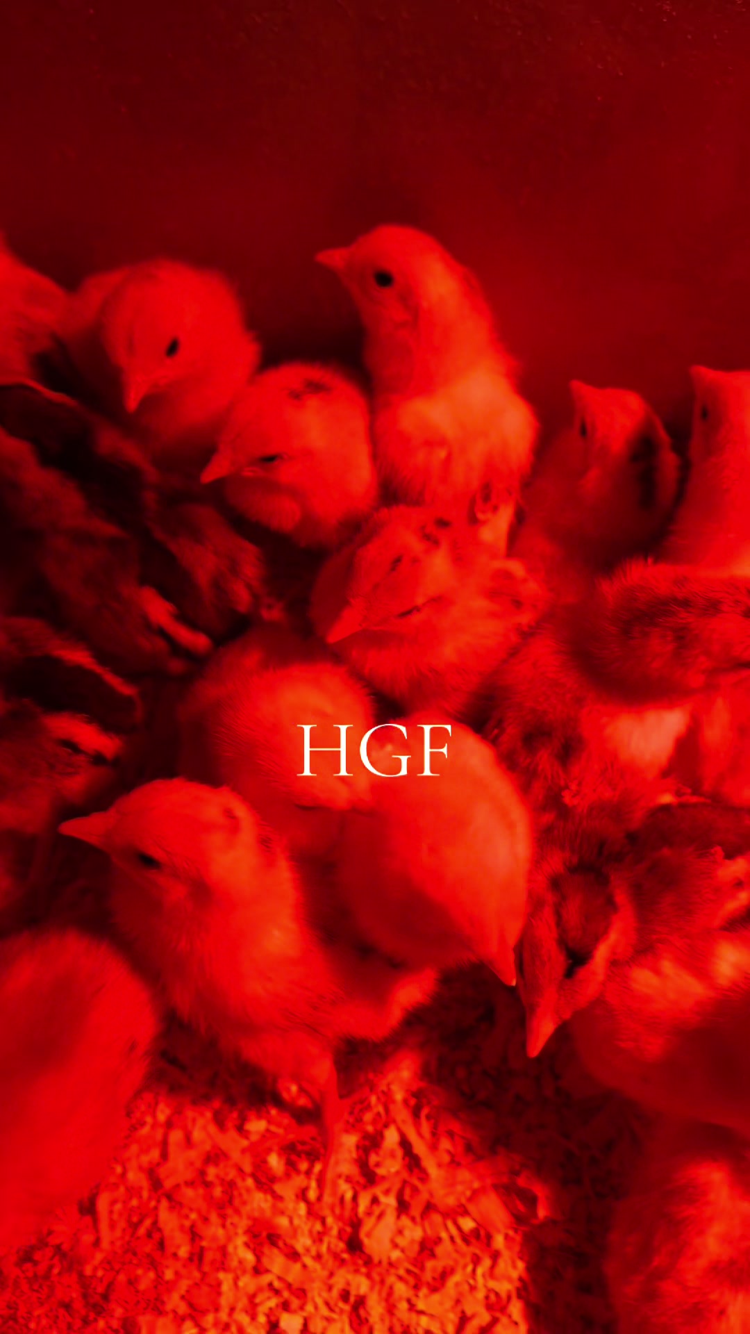 @H Gamefarm🔸