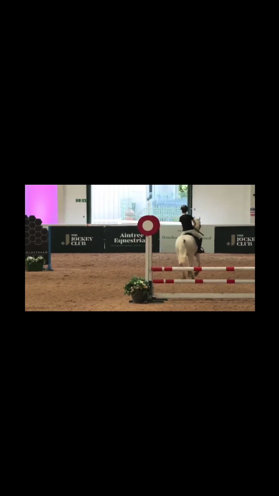 @ꨄMia & the show jumpers!ꨄ