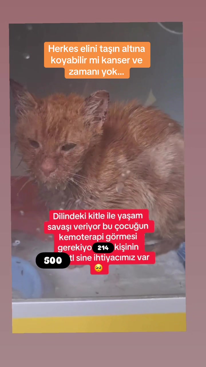 @Yesiminpatileri61