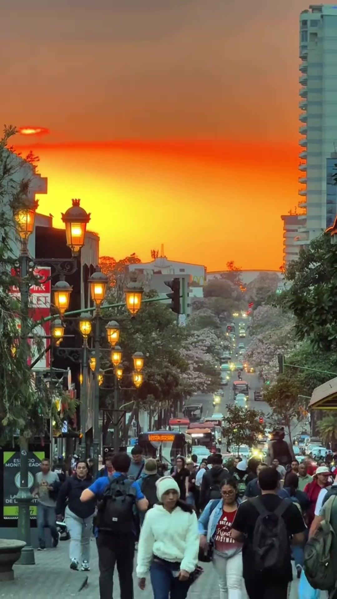 @🇨🇷Skyline, Costa Rica🇨🇷