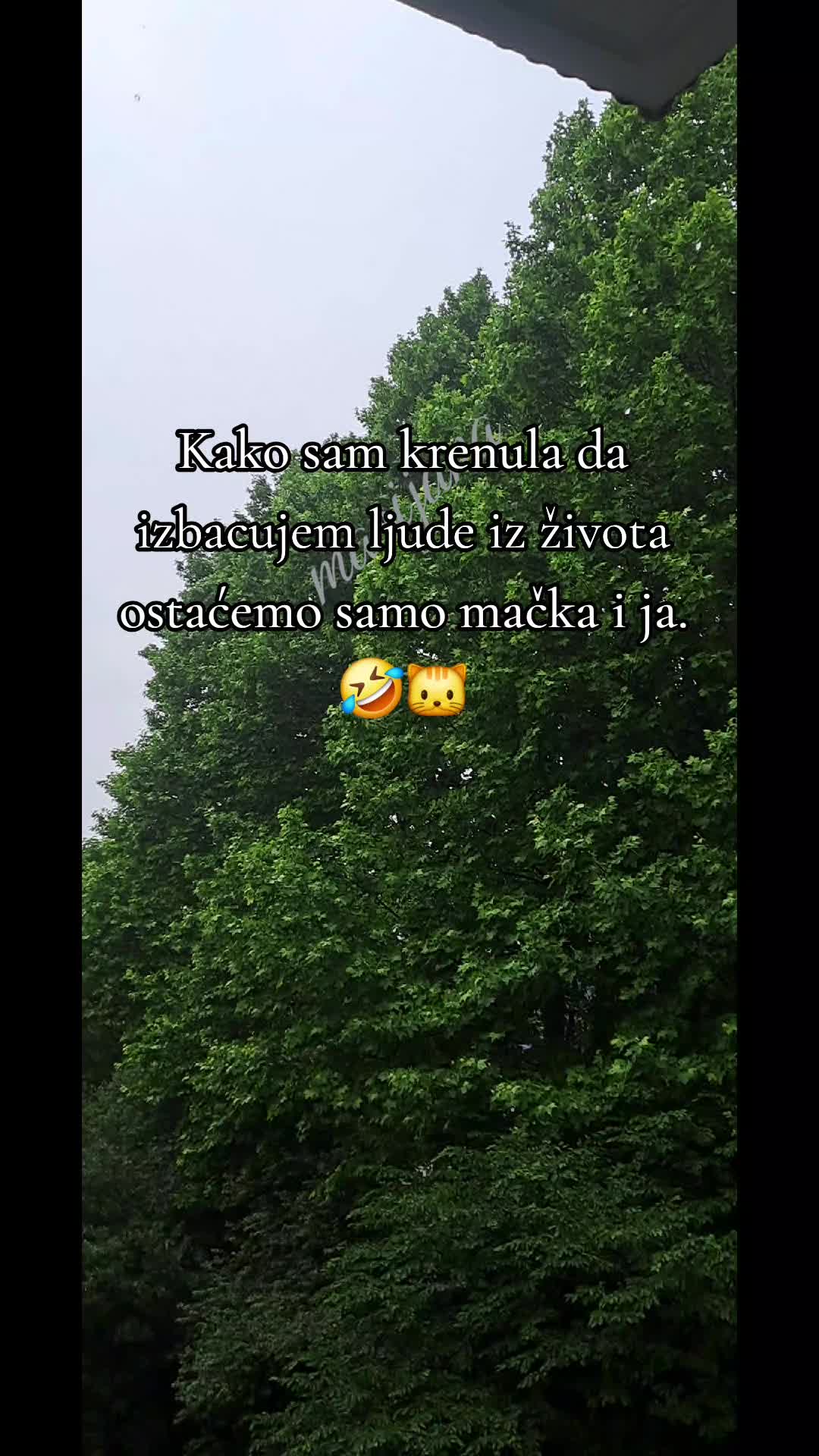 @marijana