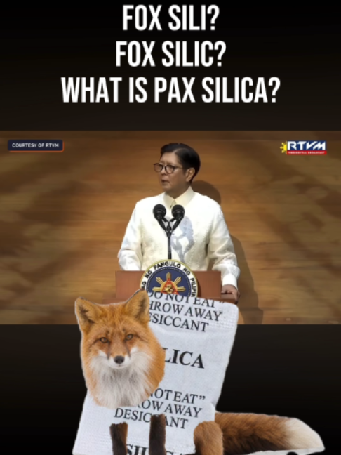 @Rappler
