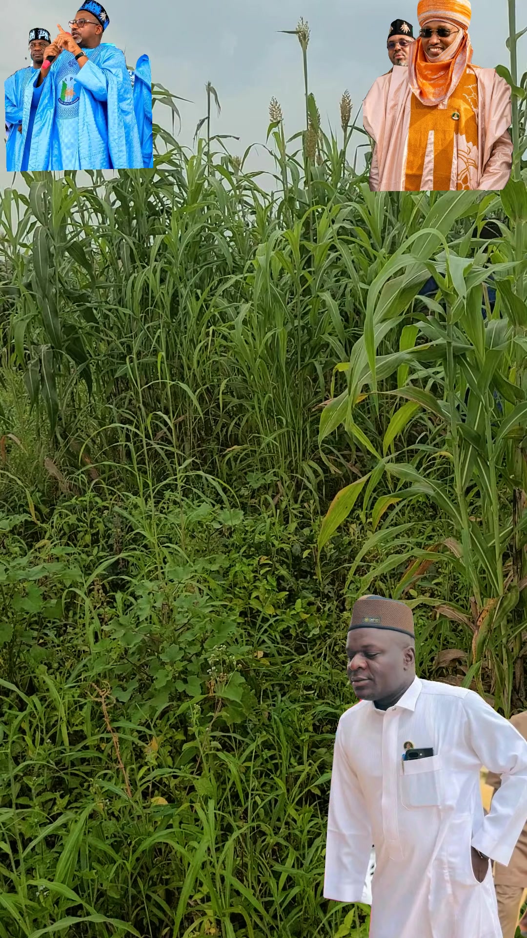 @isimail kankana 1000