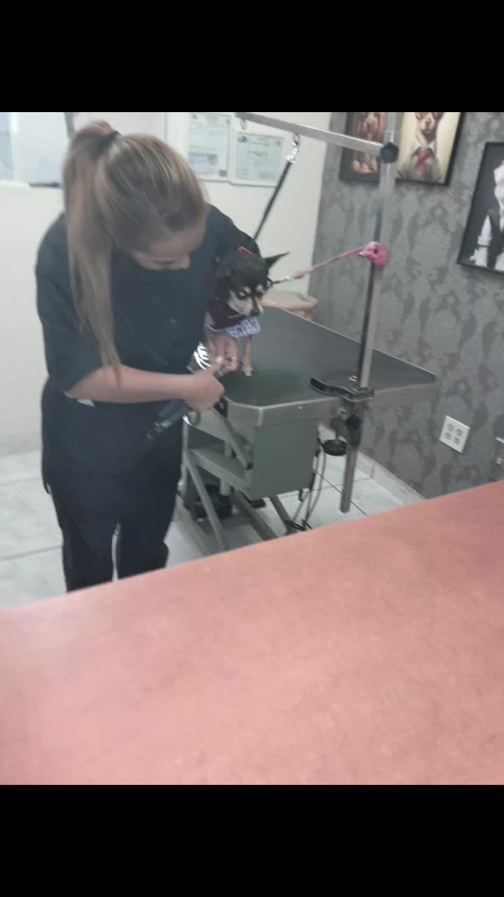 @Clara