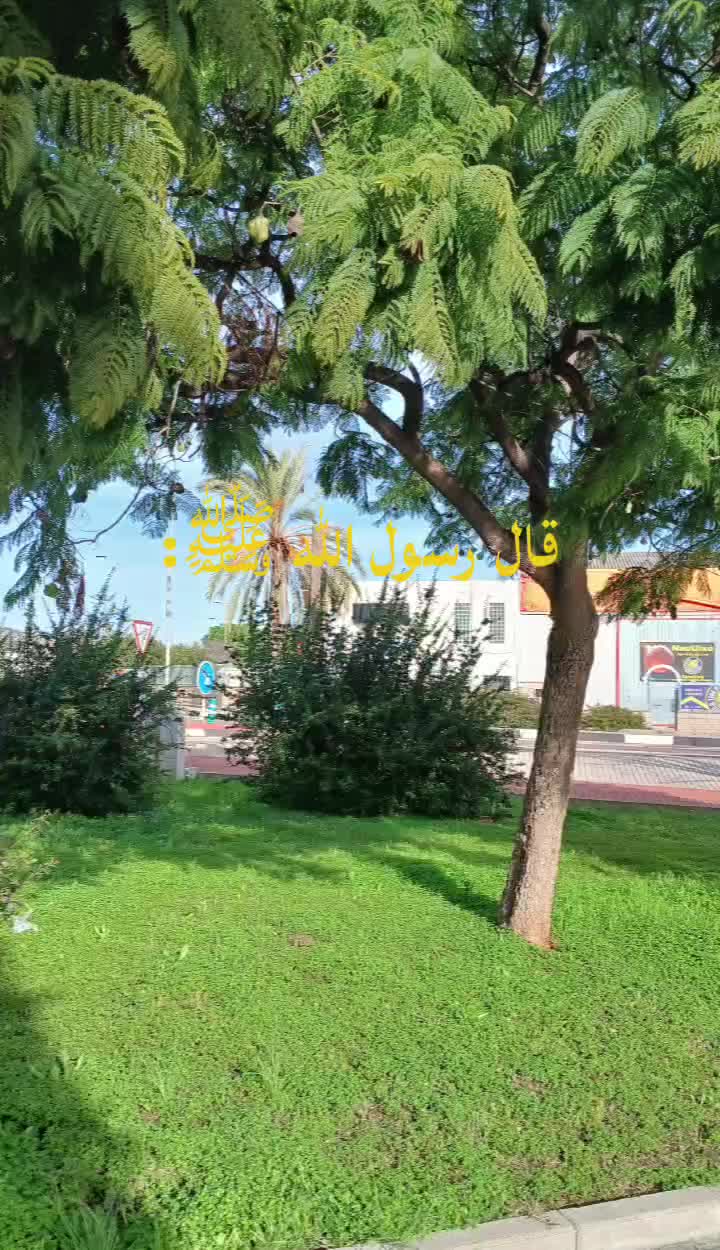 @salmahoura
