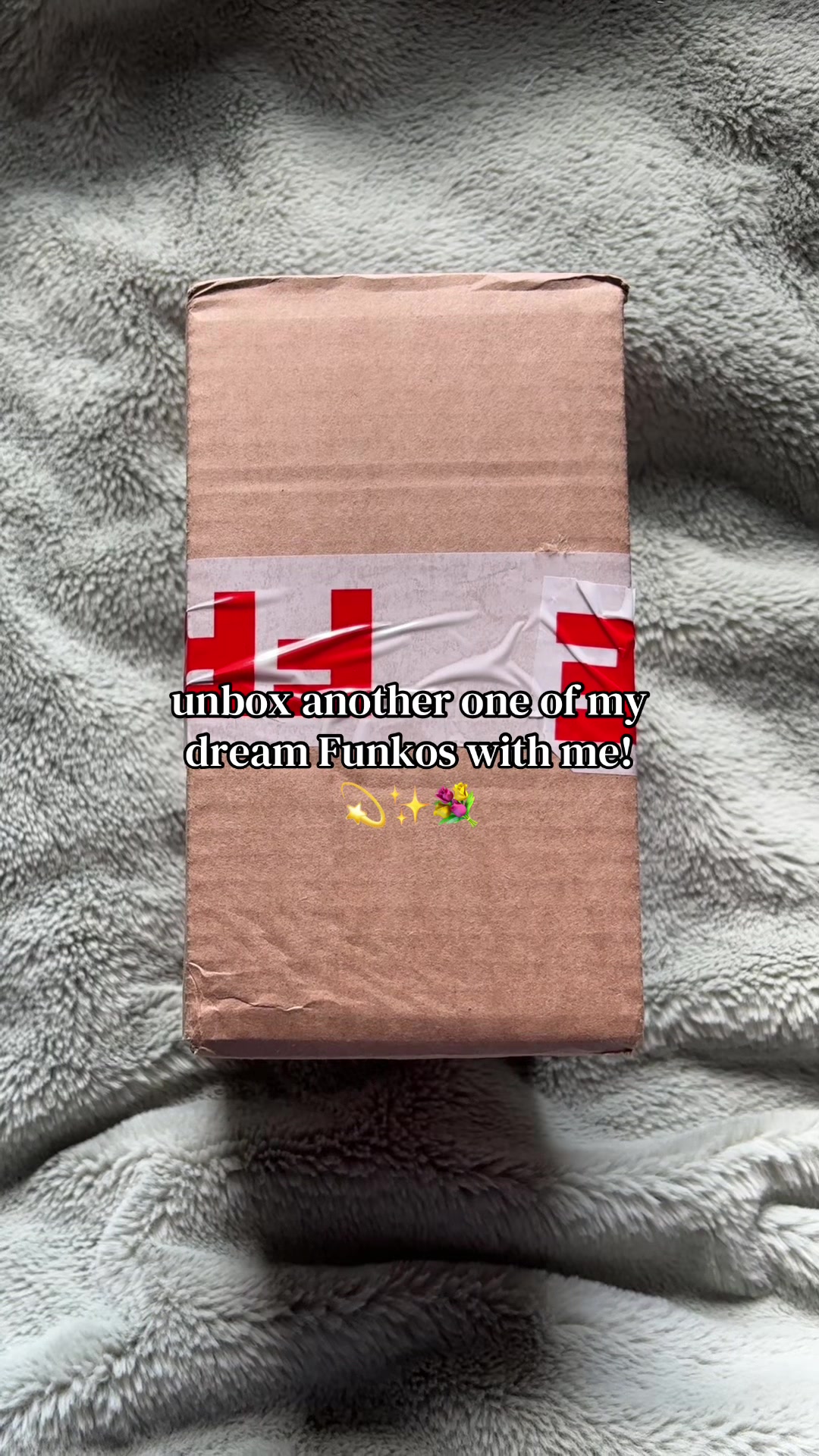 @📚amber ❀˖°ᥫ᭡
