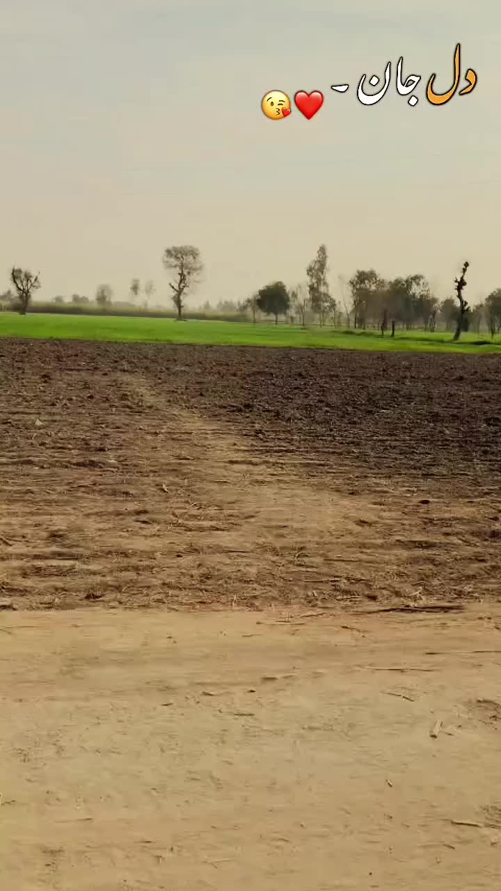 @معصوم لڑکا