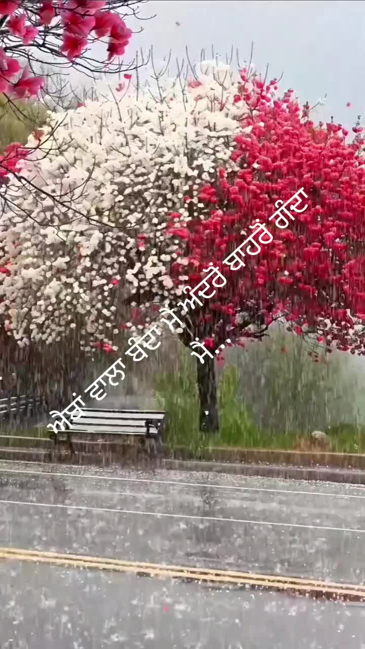 @Rj Sahota32 London,pb08 wale