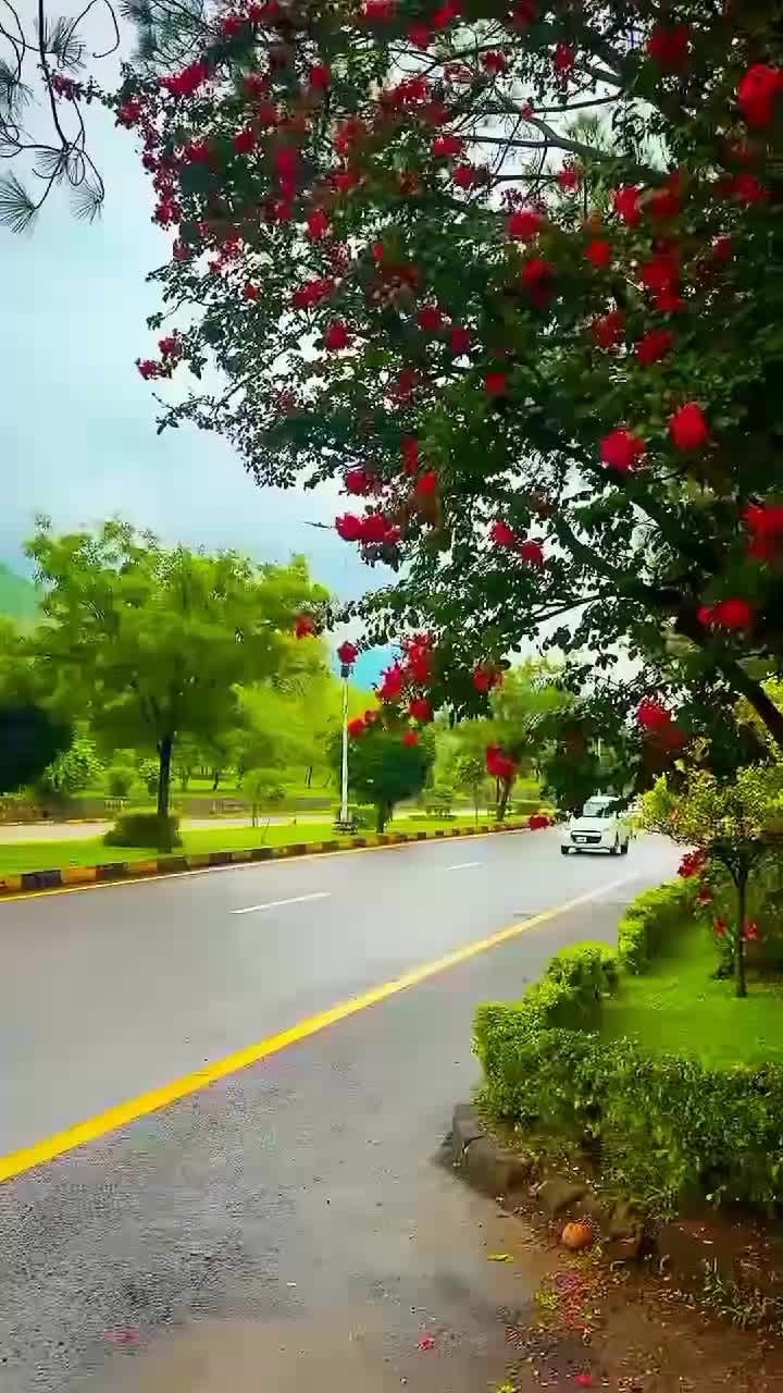 @Dr._isb