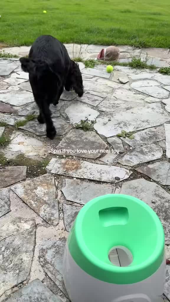 @maggie.moo.cocker