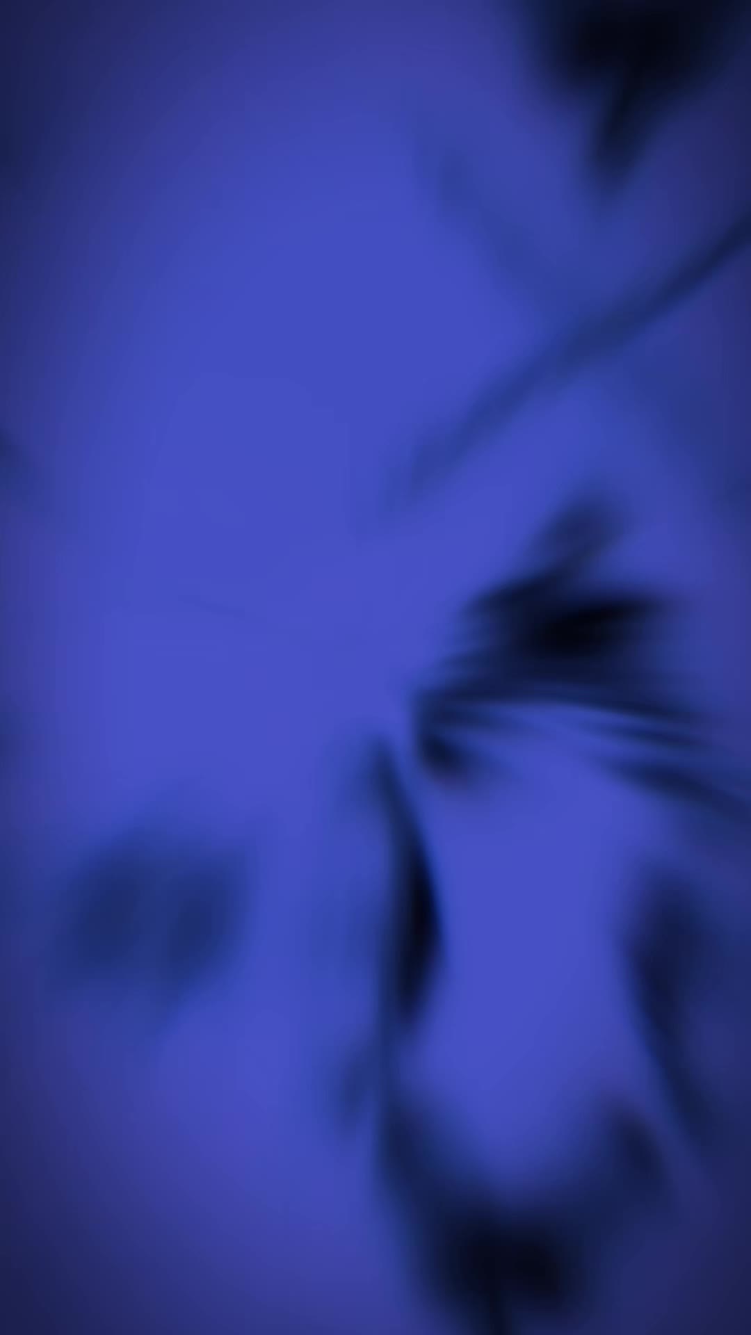 @switchblade