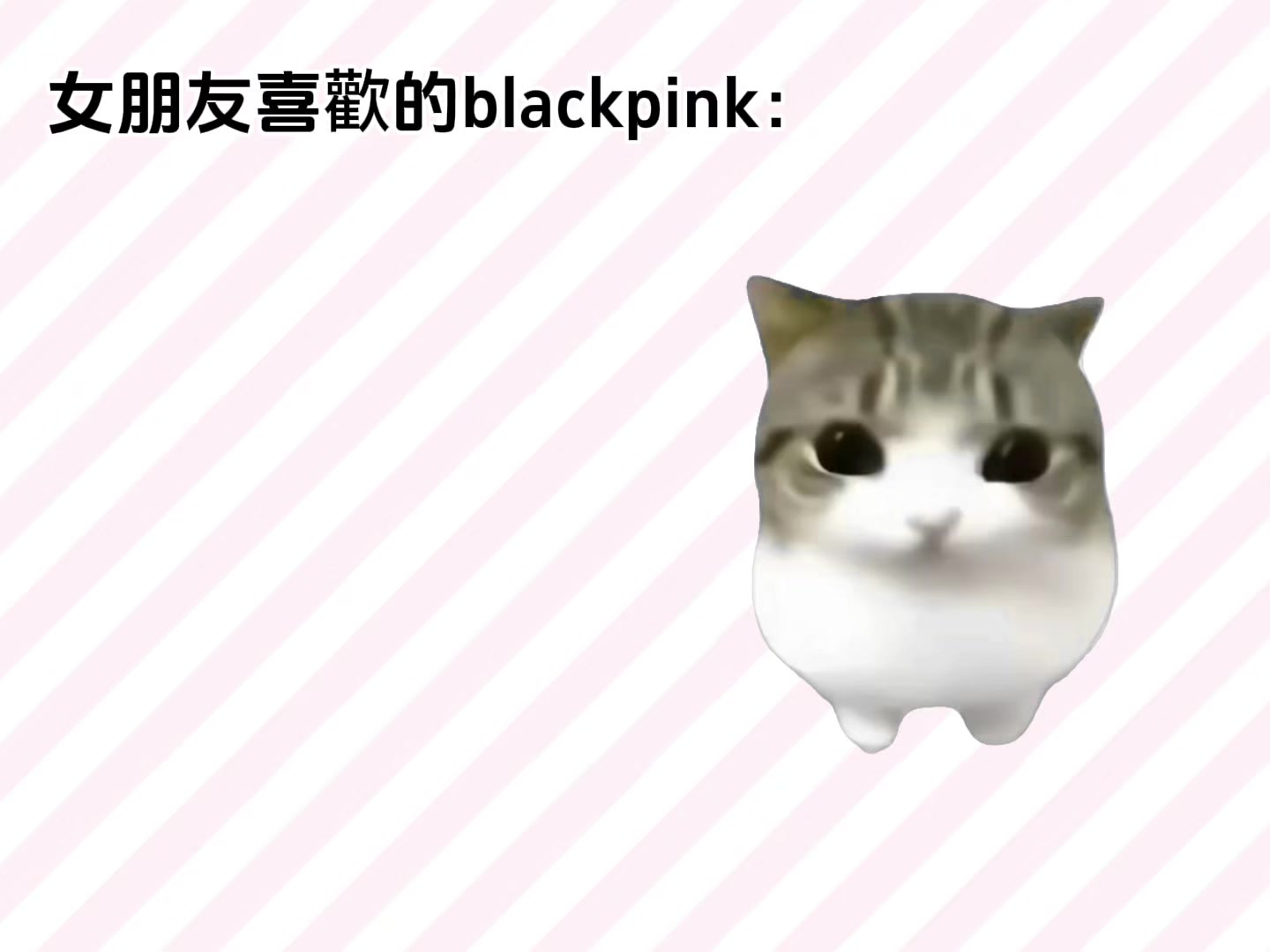 @์์ํ๐ซง๐