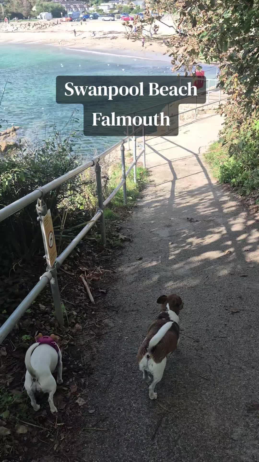 @A Cornish Witch