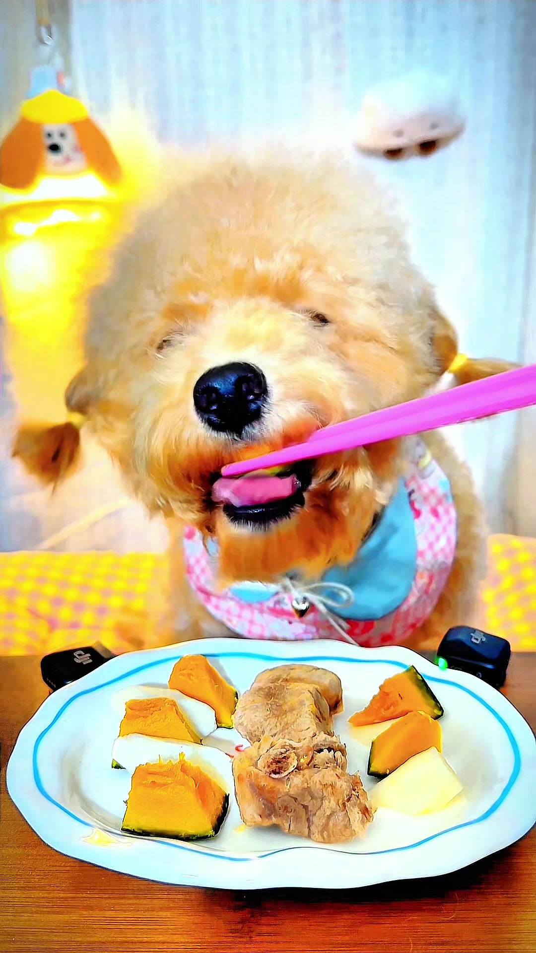@dog eat