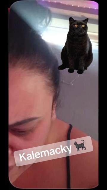 @kalemačky🐈⬛