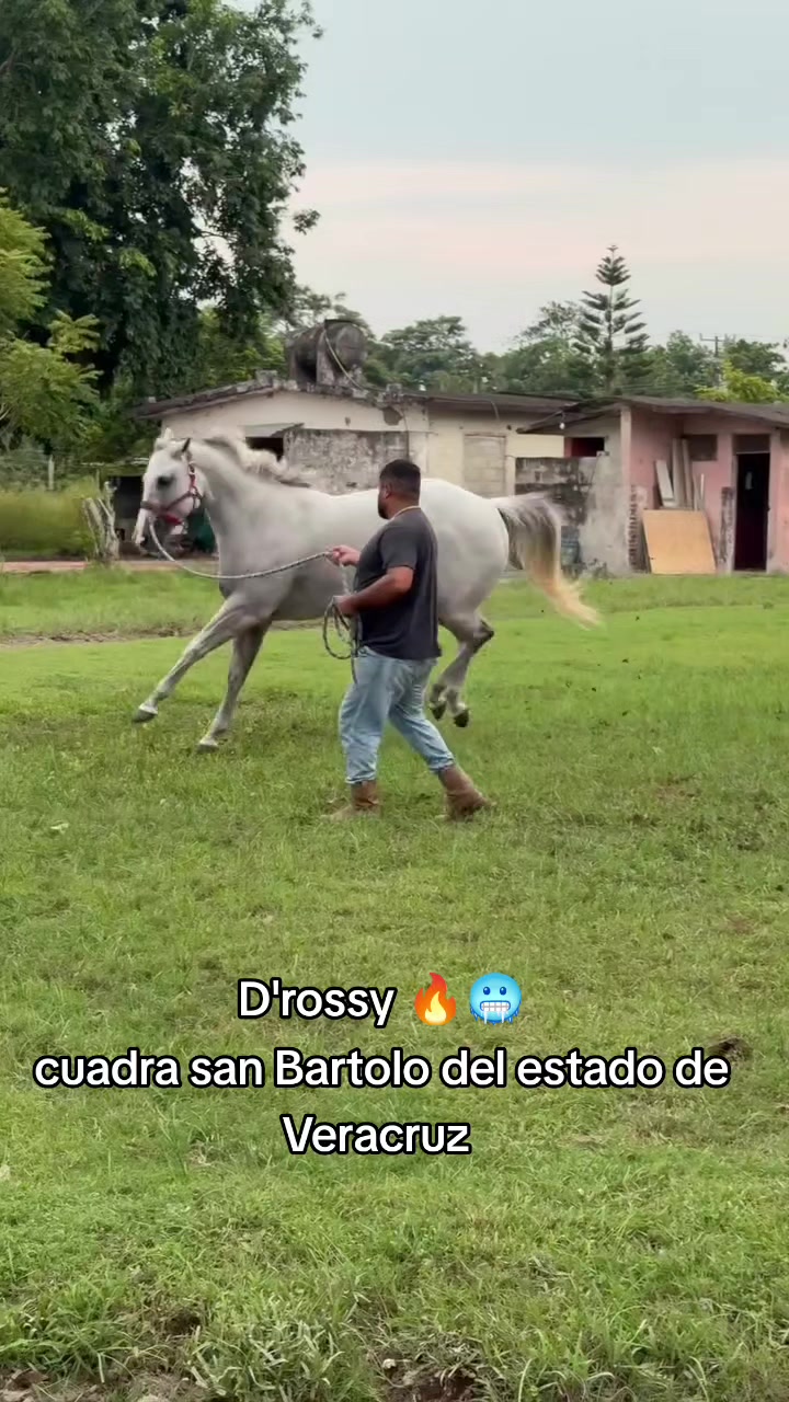 @carriles altos de jalisco🐎