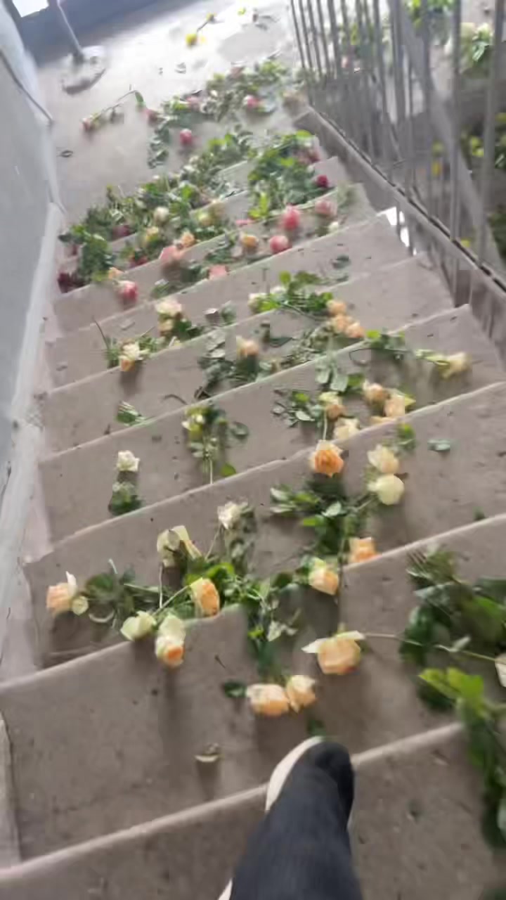 @Anuta ❤️