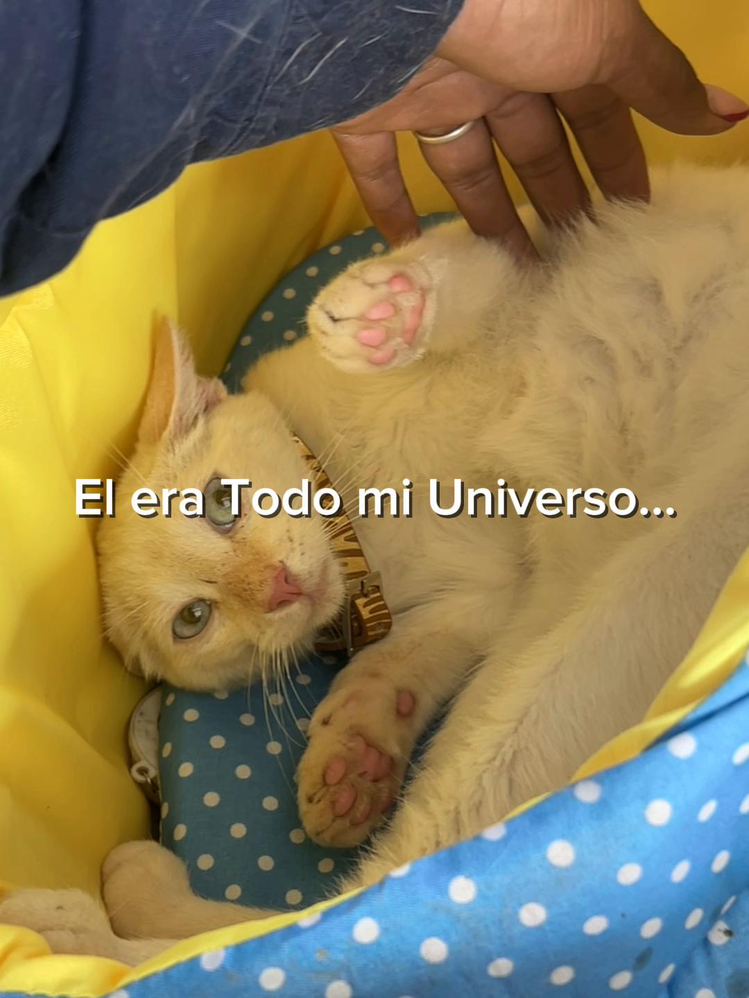 @KAT 502๐๐