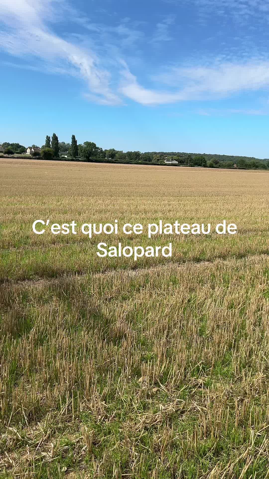 @Quentin18