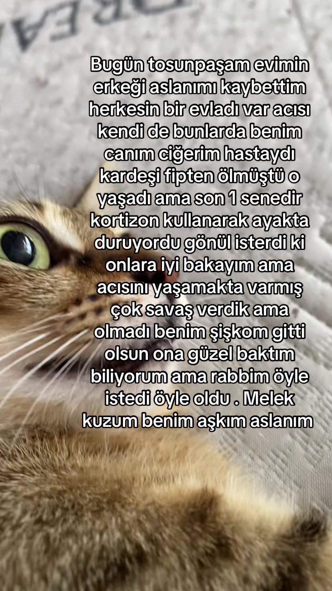 @yudummz_