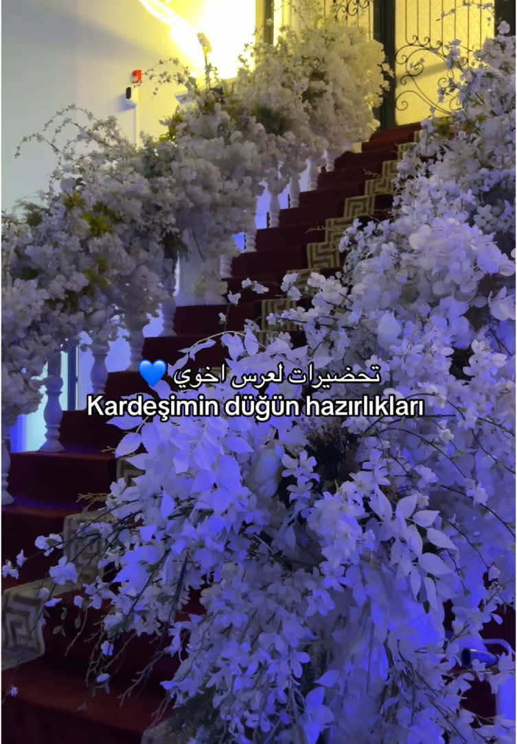 @Türkmen kızı 💙 Dünya 🌎