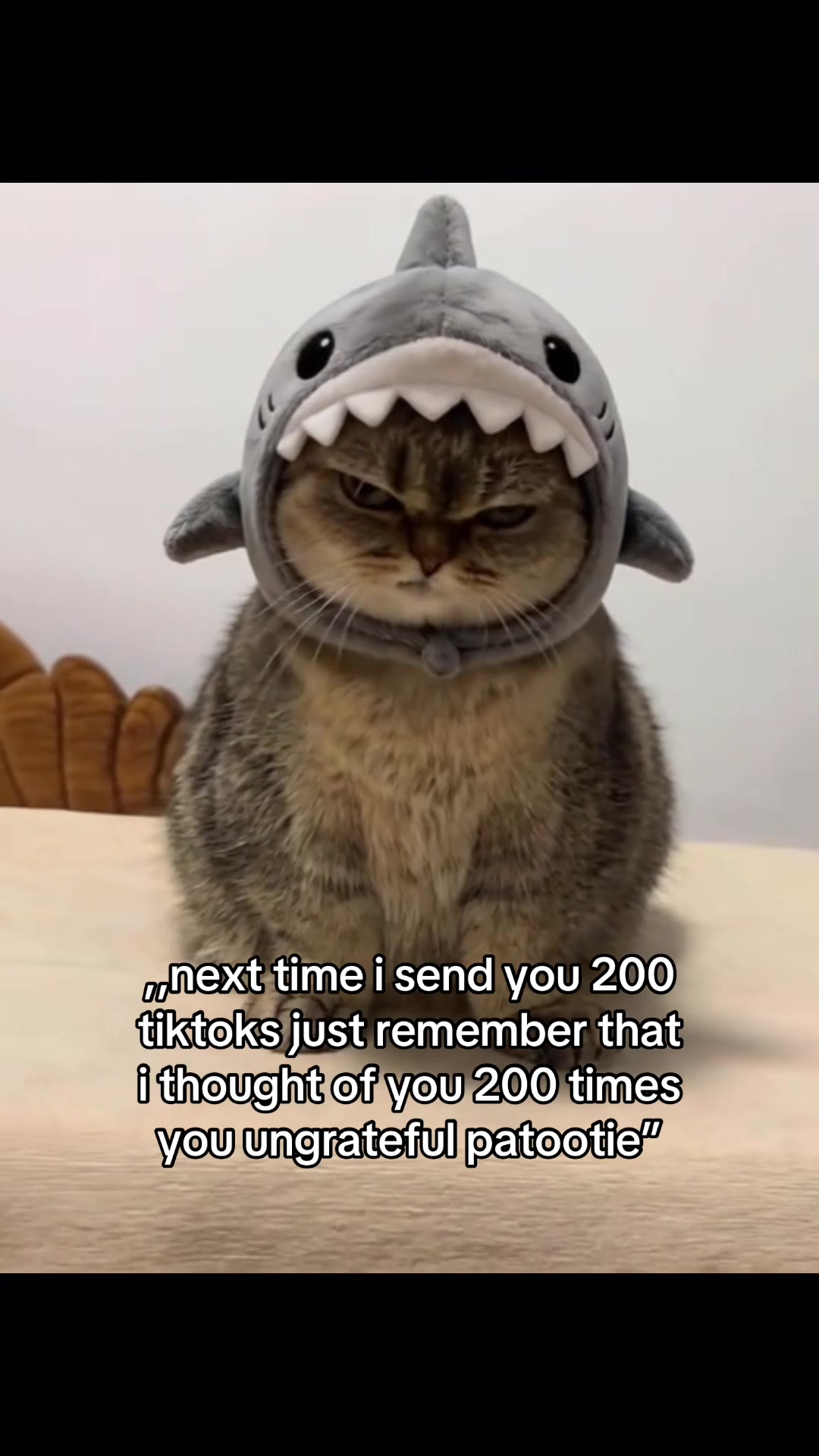 @𝒞𝑜𝒹𝓇𝒾𝓃