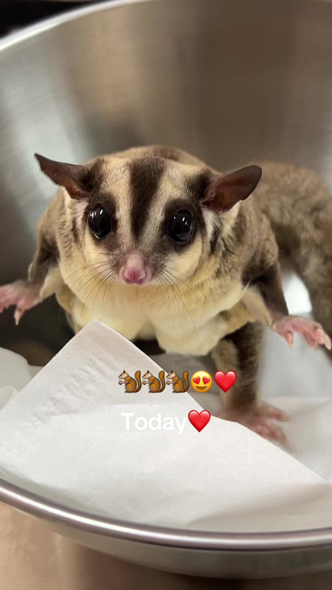 @jesugarglider.id1