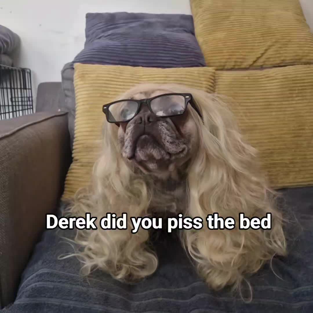 @Paddythefrenchie