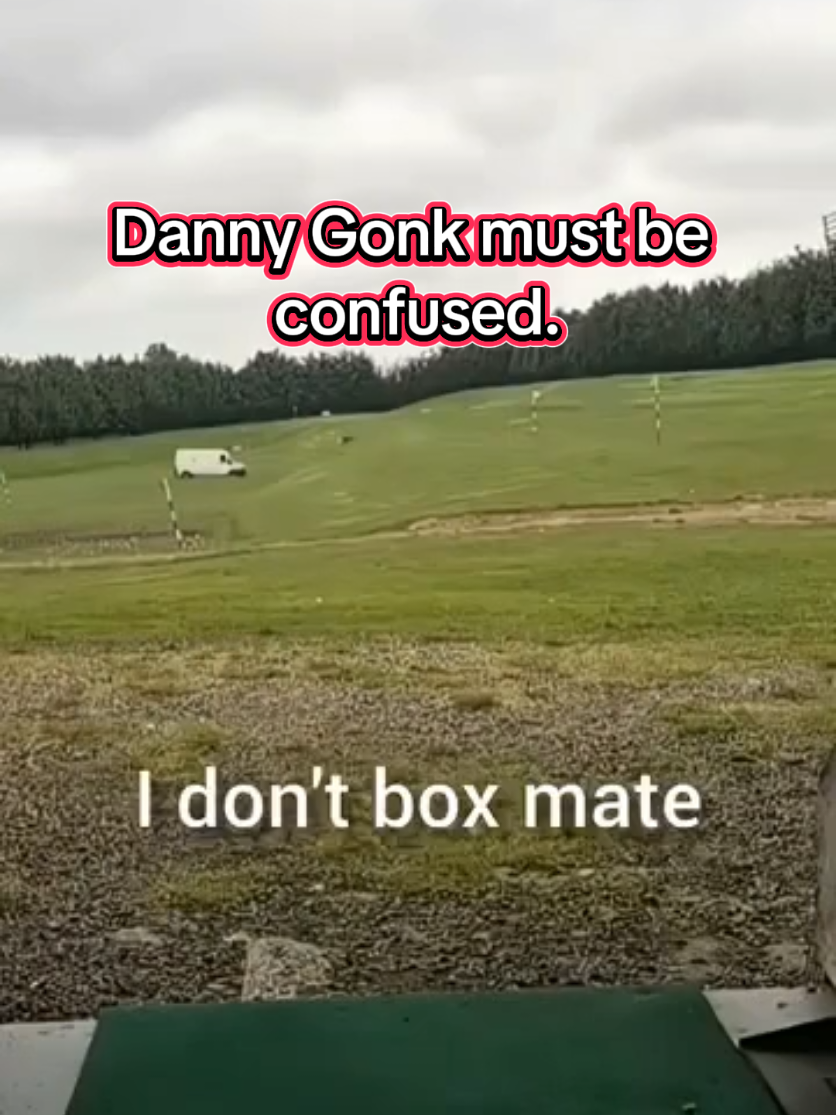 @The Real Danny Gonk