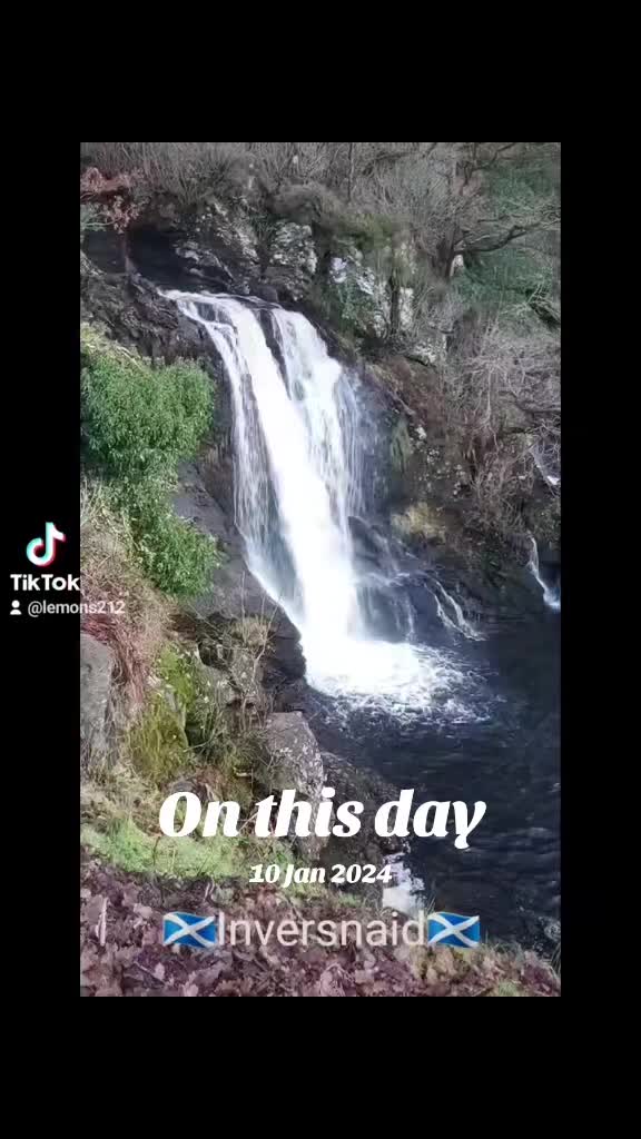 @lemons212