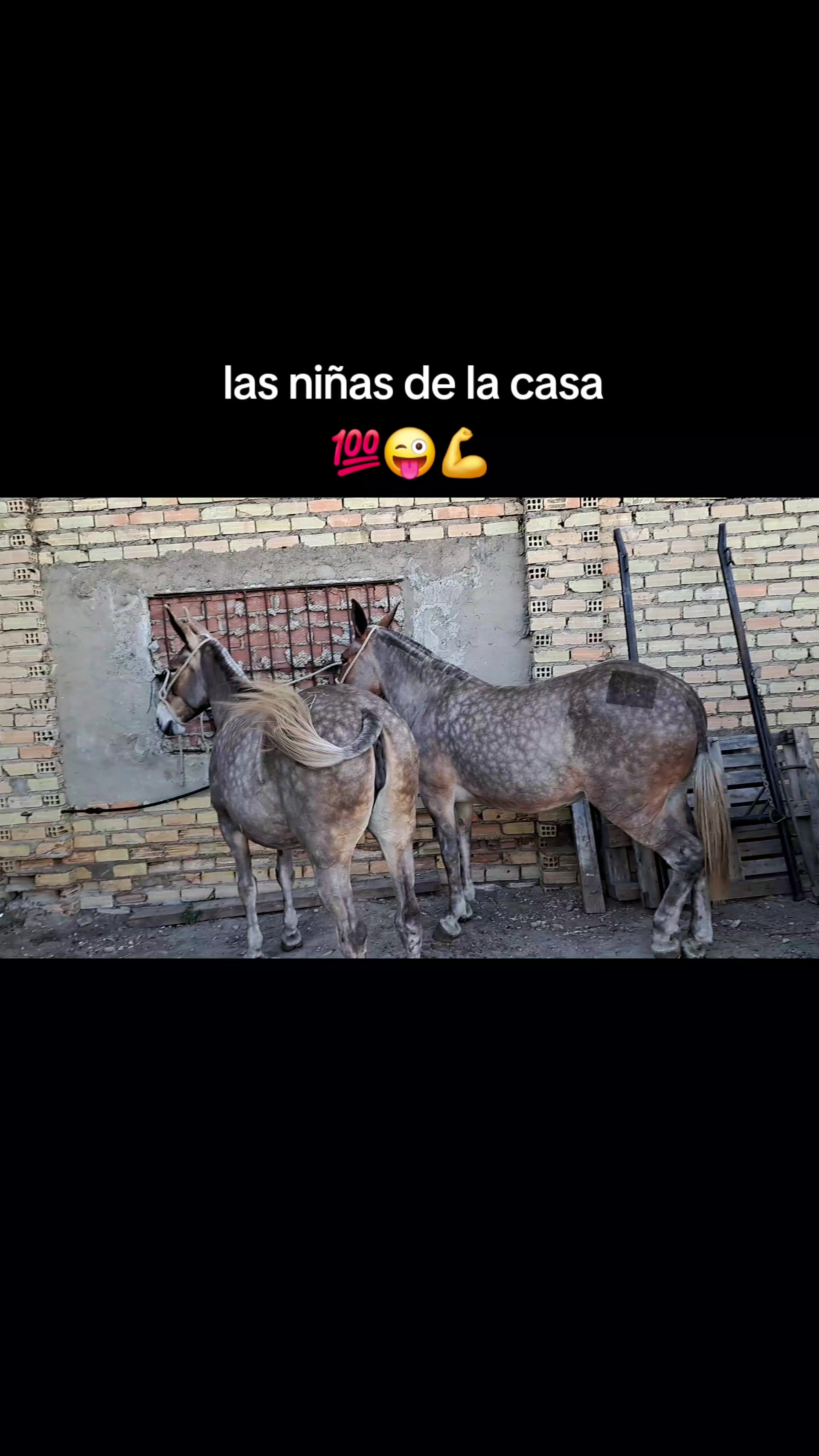 @Ca&ntilde;izo Aguilera Rodr