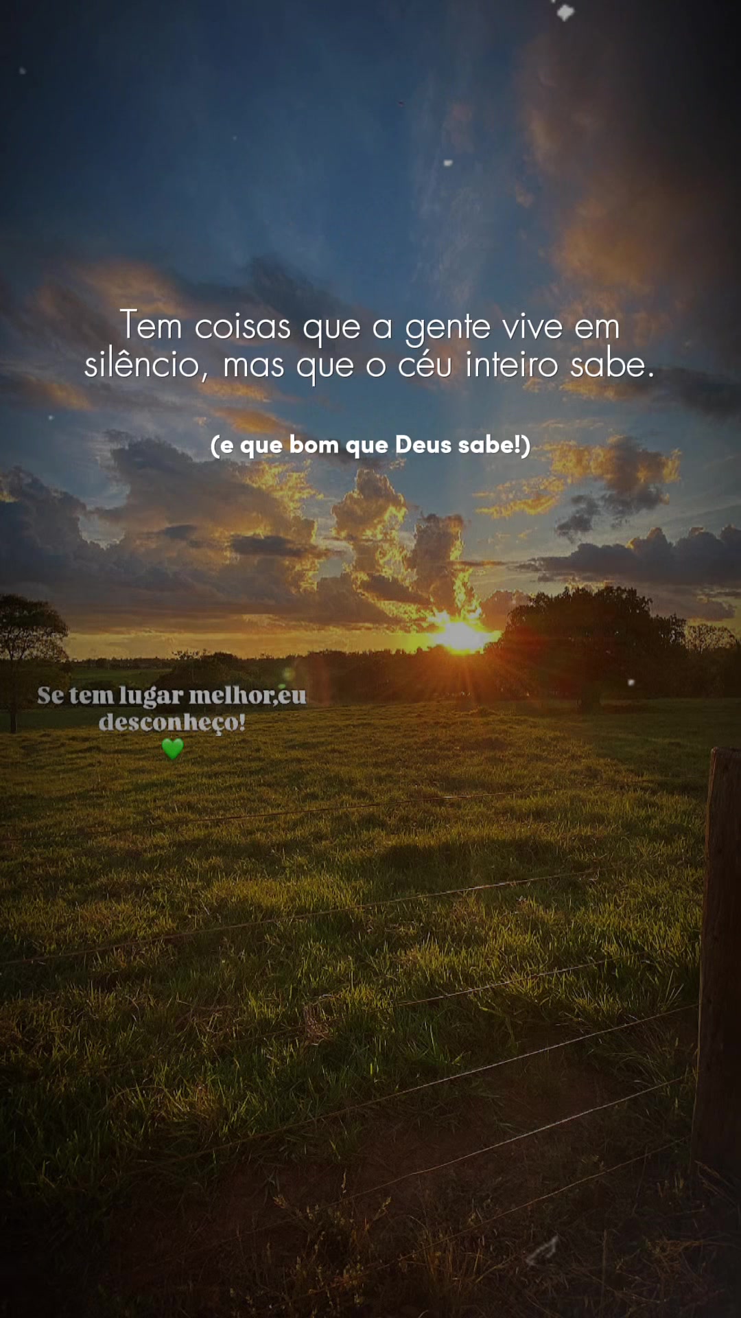 @Aline Filipini