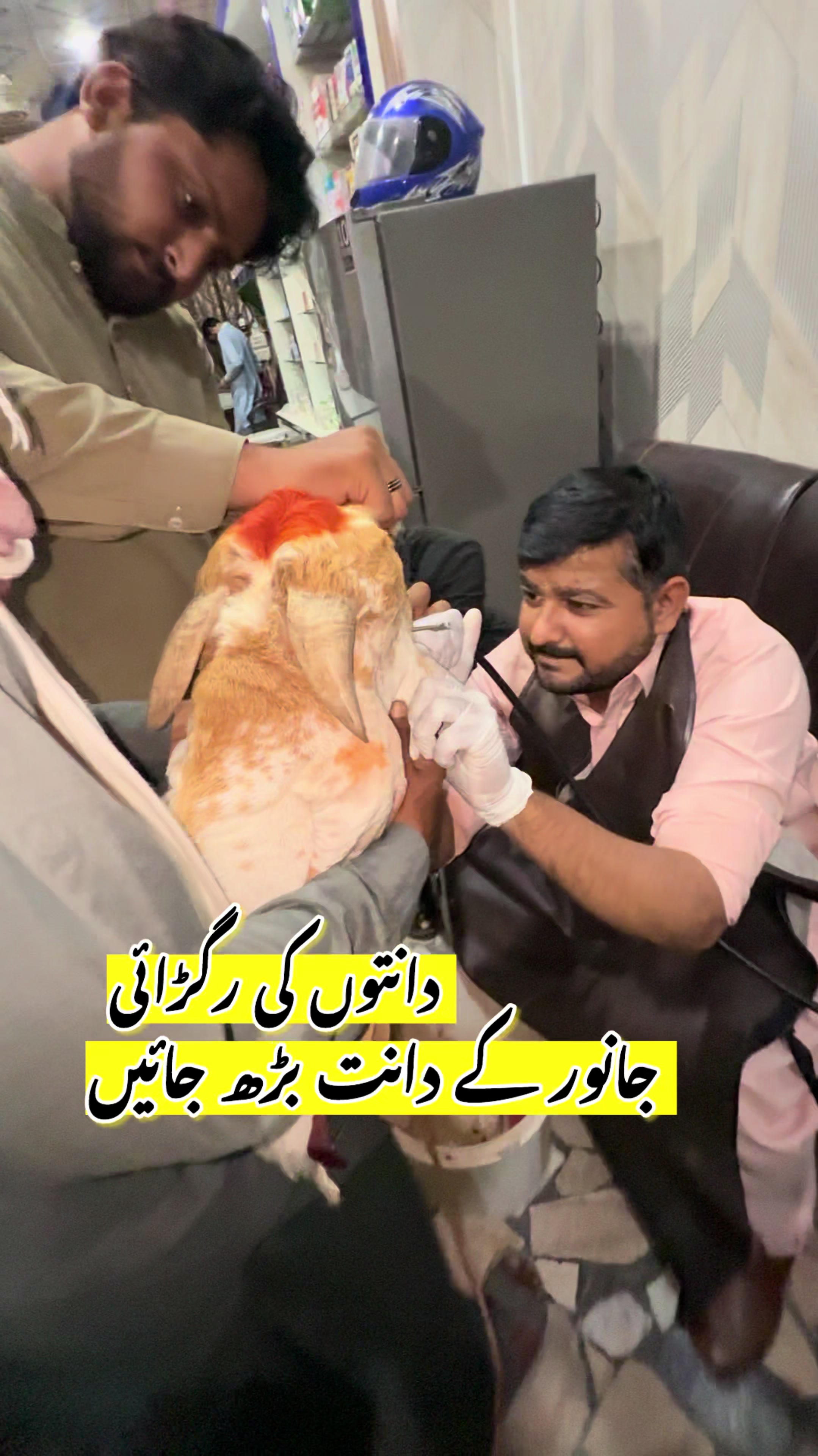 @Dr.Mohsin