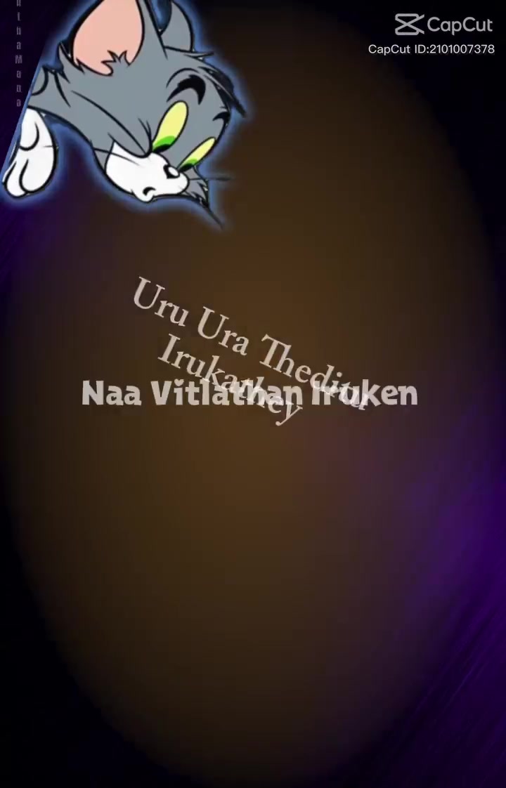 @⇶✴☞🅐︎🅢︎ 🅐🅜🅜🅤❈