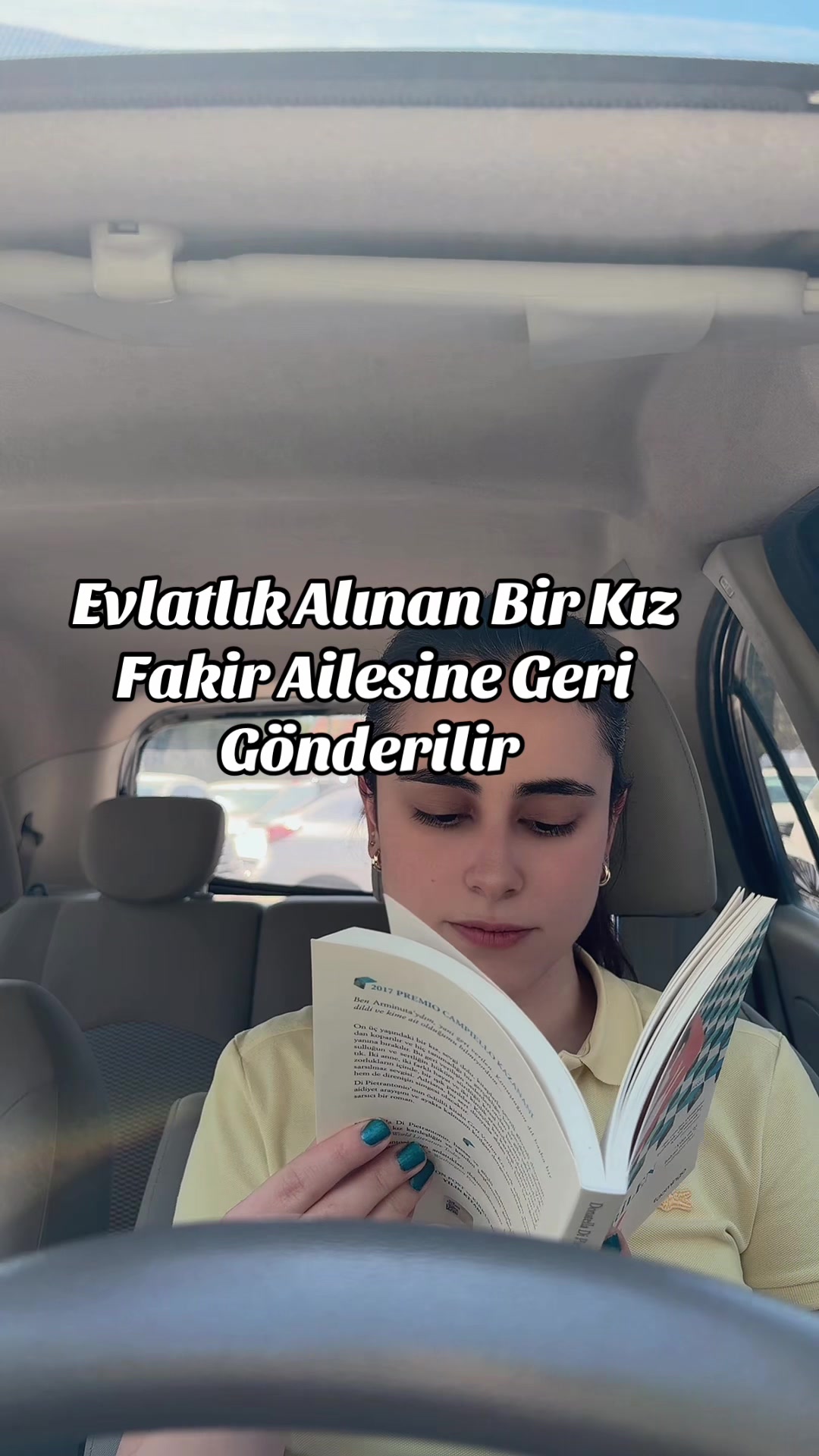 @İstanbul Kedisi