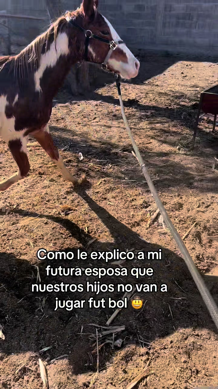 @arturo 🧔🏻♂️