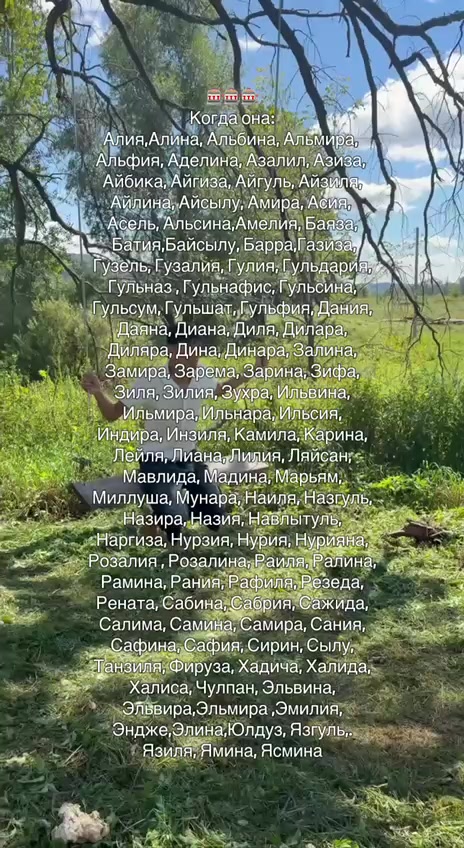 @татарчик