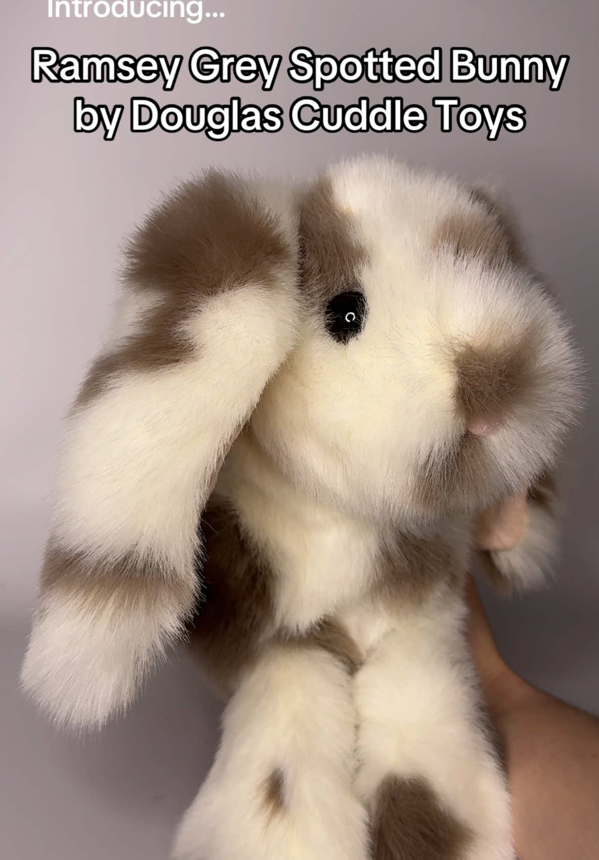 @Wonder Wolf Plush
