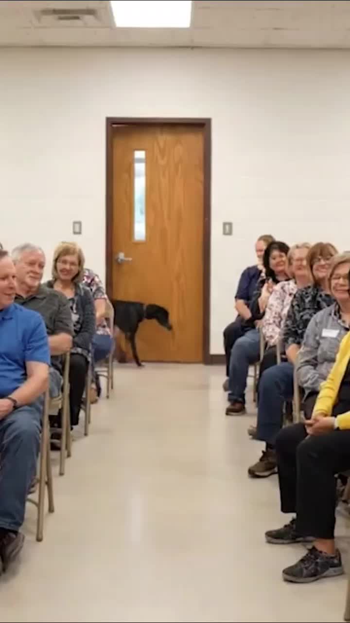 @dogadoption