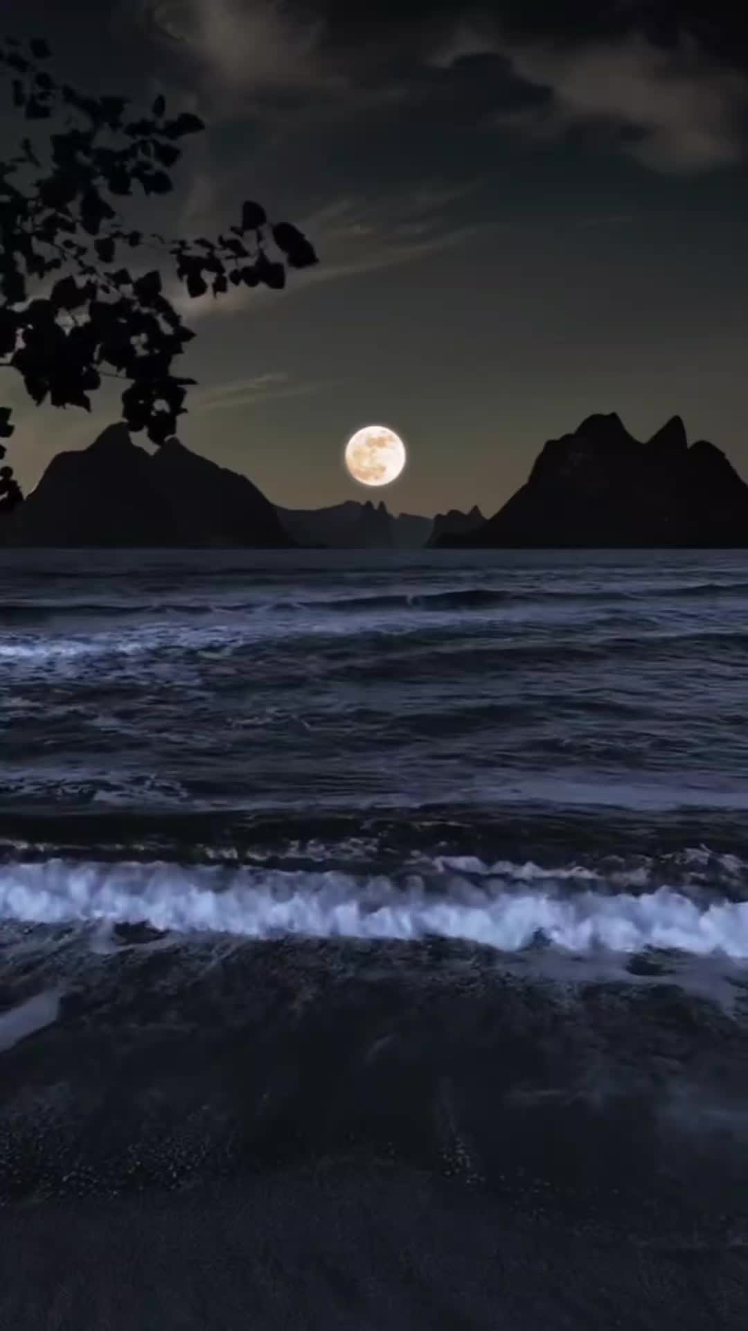 @ኢተቂሏህ ነብሴ 1الله كريم🕊🤍Ⓜ