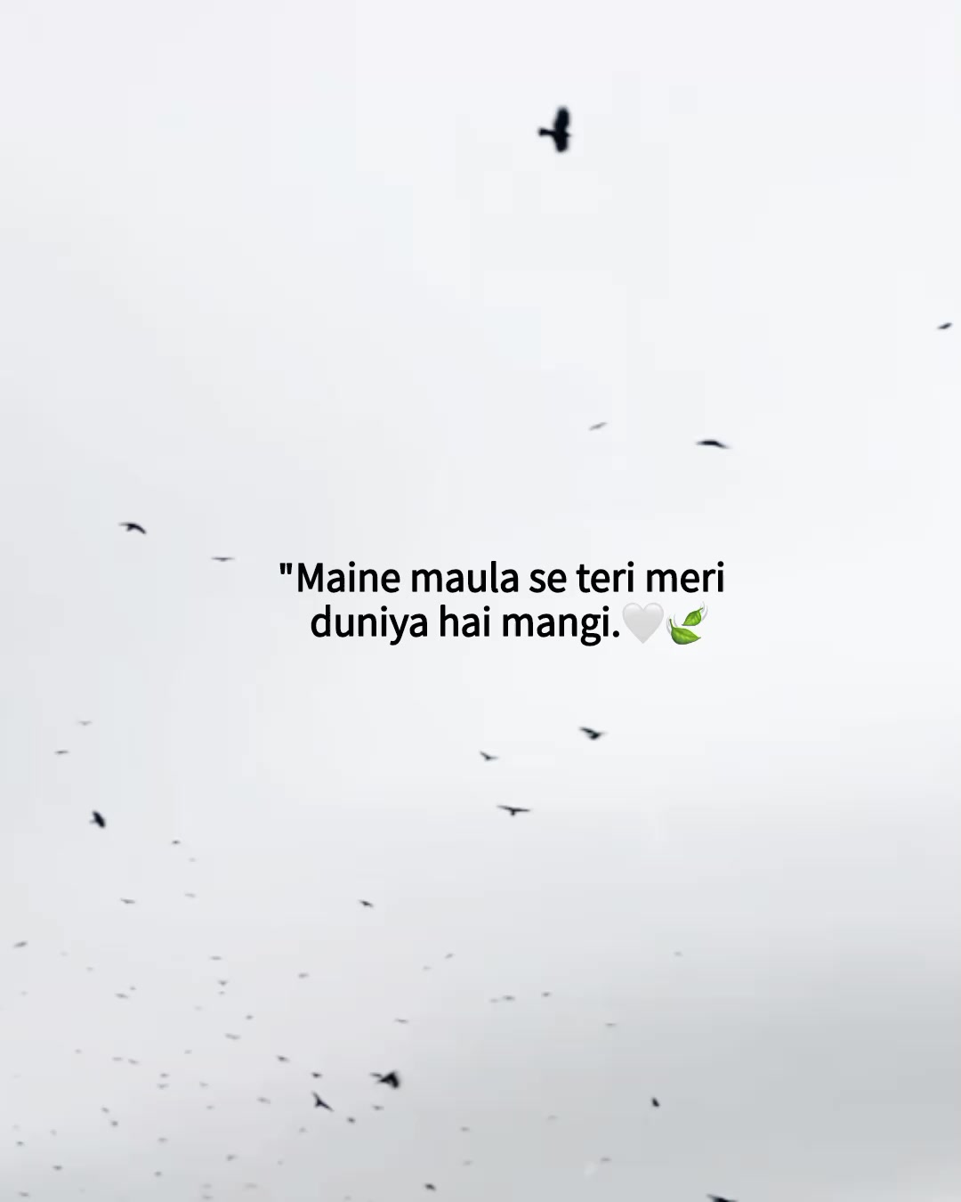 @༄𝐌𝐚𝐡𝐢᭄🕊️