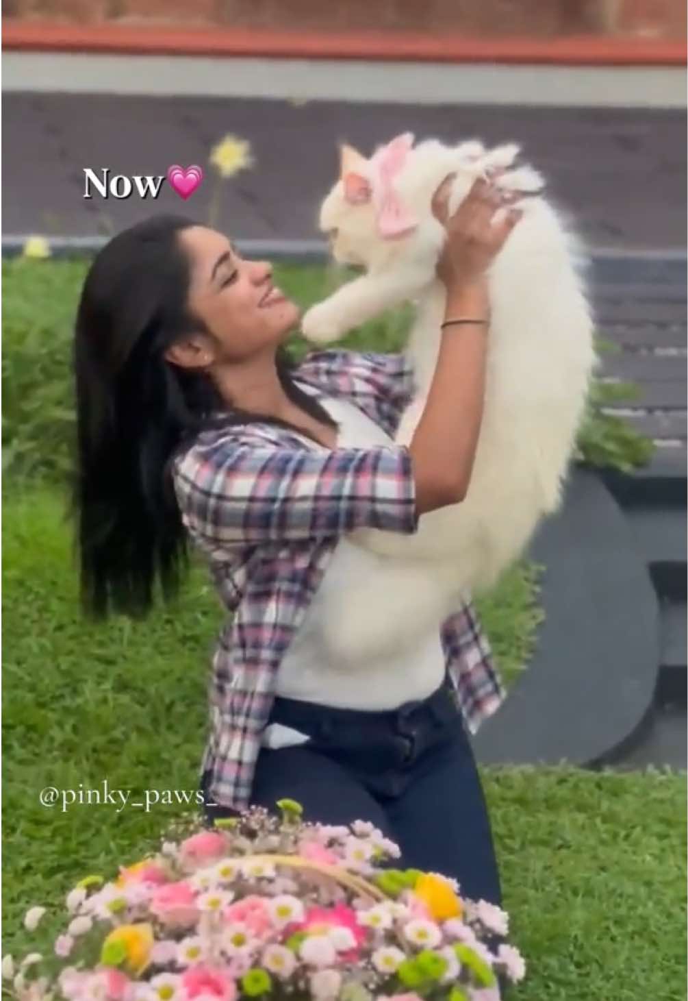 @Pinky Paws