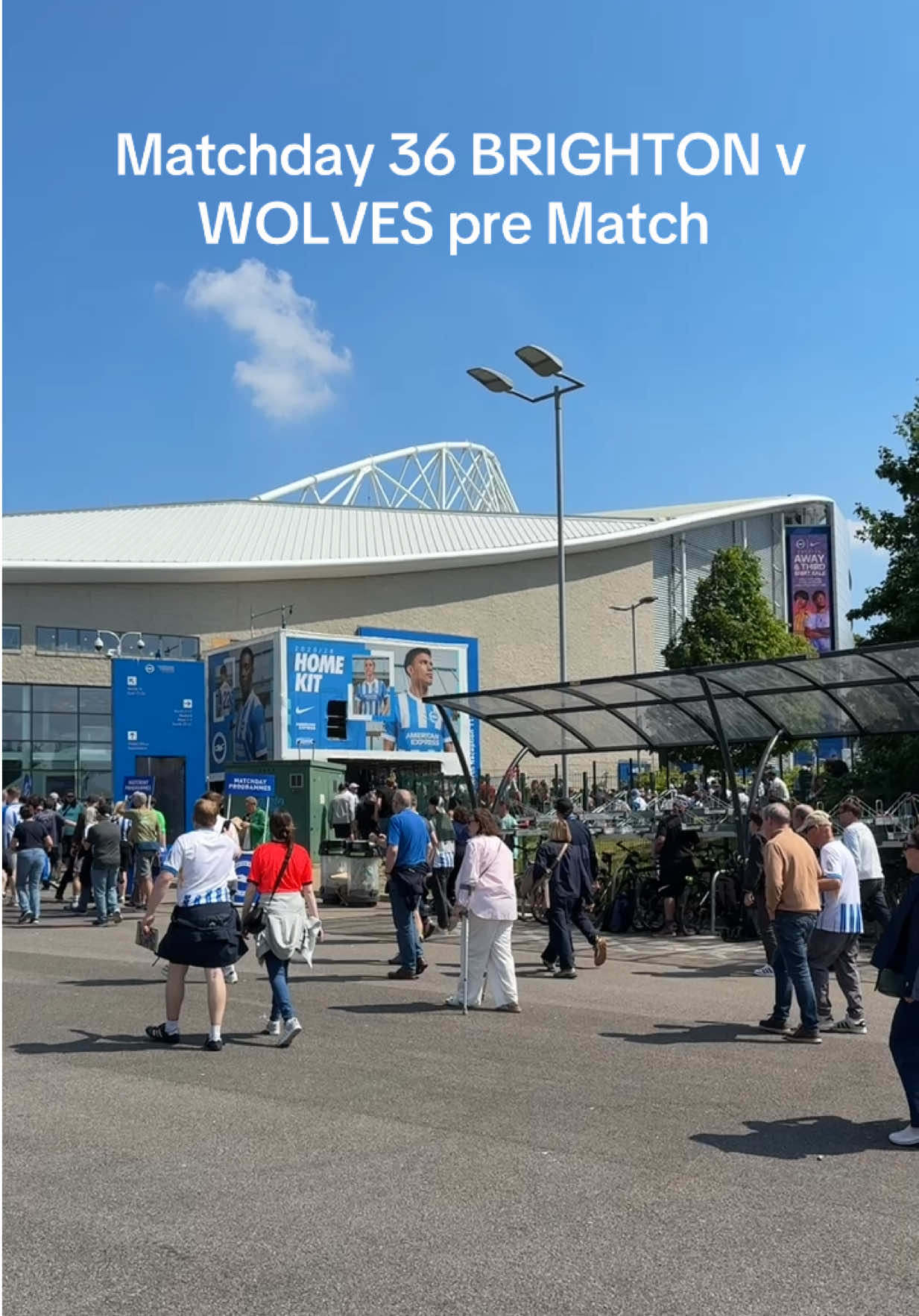 @ALWAYS WOLVES FAN TV