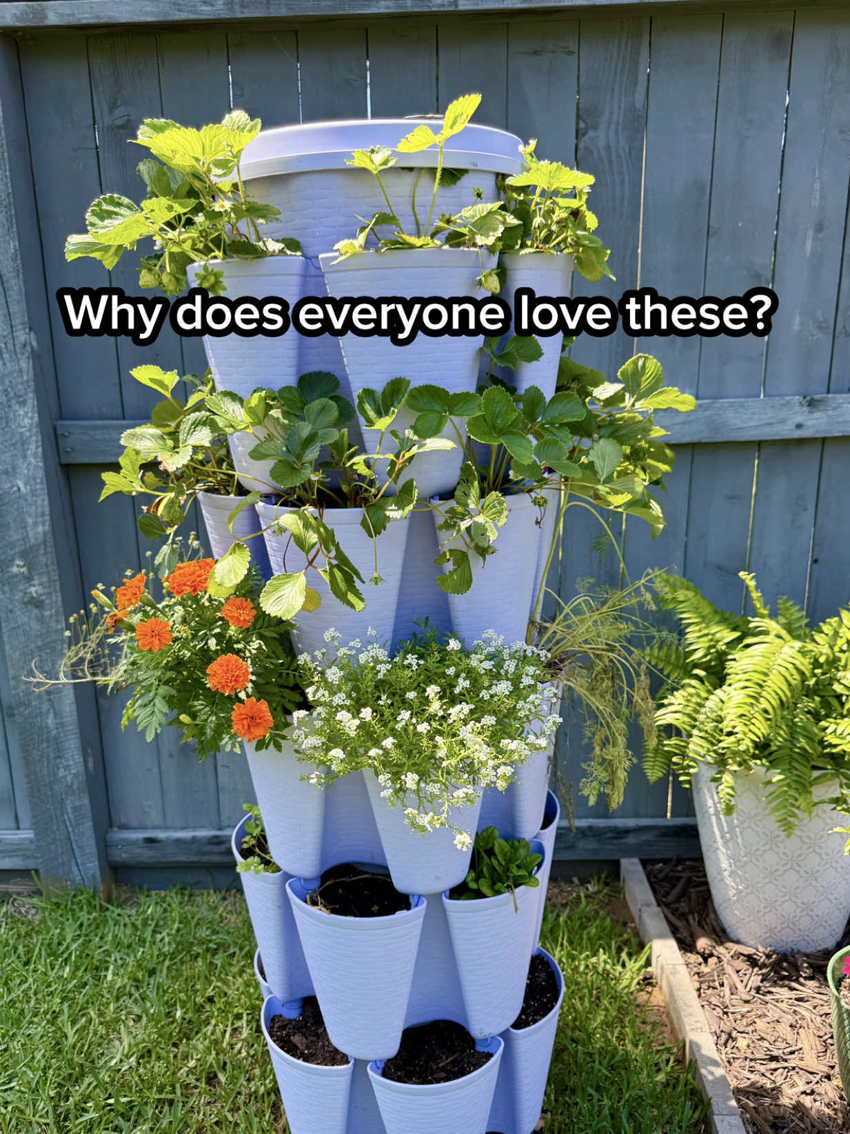 @Sara&rsquo;s Bites 🌱