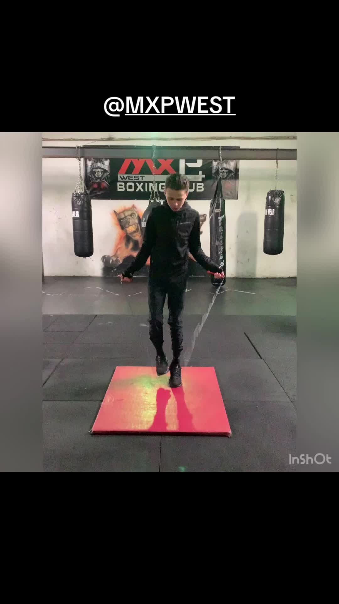 @Beezboxing🐝🥊🥊✨✨