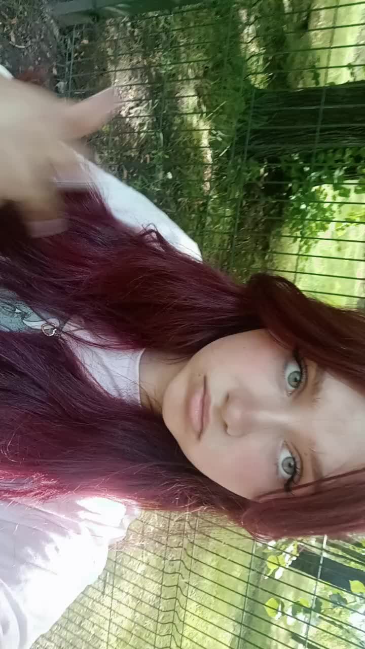 @Nikola Nikol